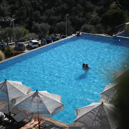 Noa Kazdaglari Tas Ve Bungalov