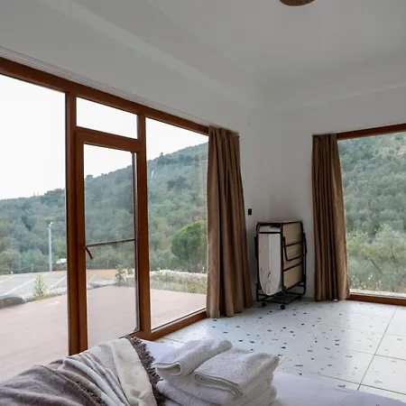 Noa Kazdaglari Tas Ve Bungalov